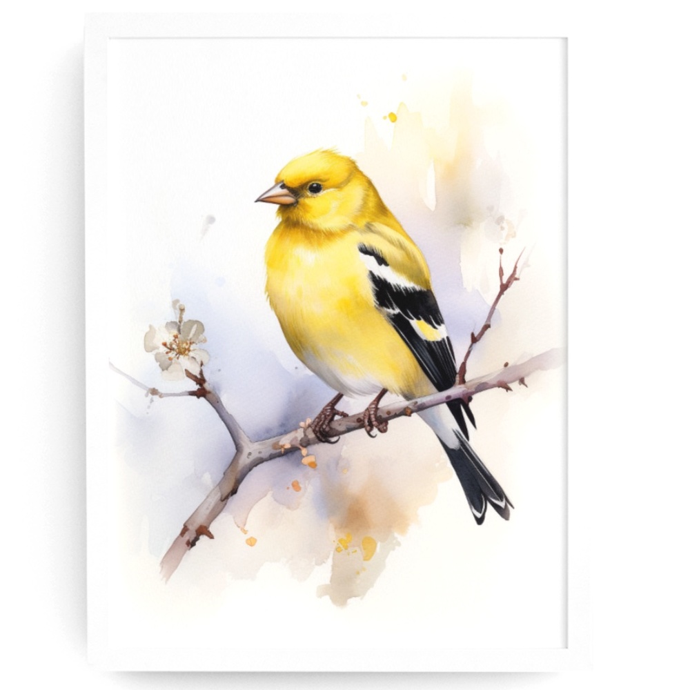 Watercolor American Goldfinch Bird Portrait Wall Art Illustration Print Unframed